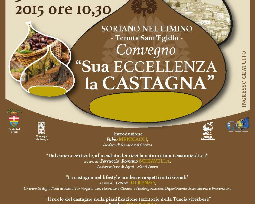 Sua eccellenza la castagna